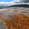 Algal mats at Mammoth Hot Springs.