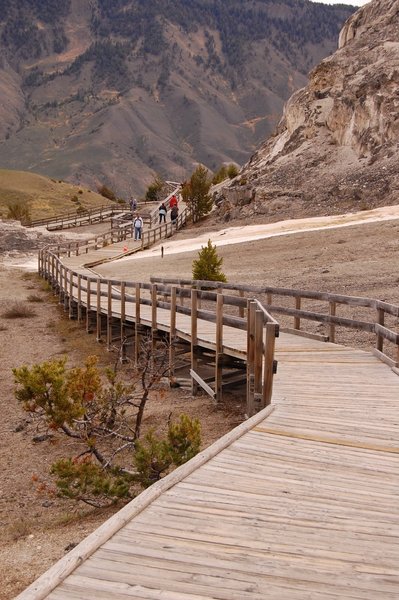 Along the boardwalk.