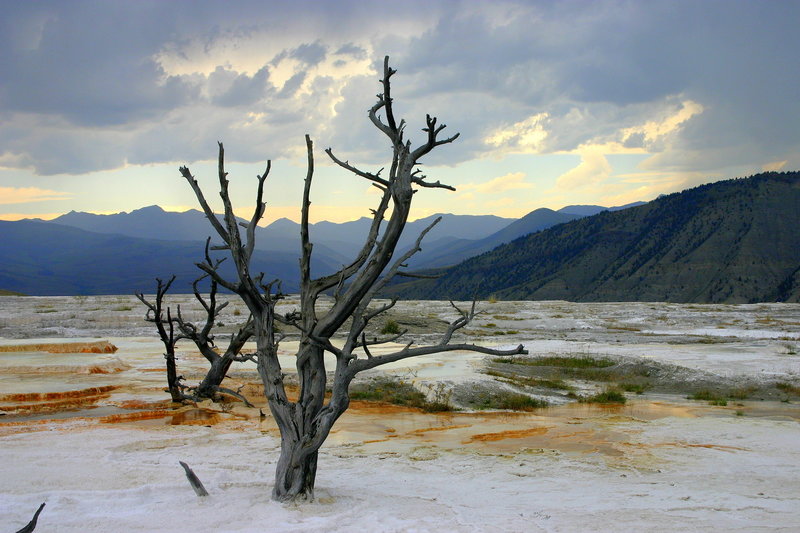 Lower Terraces.