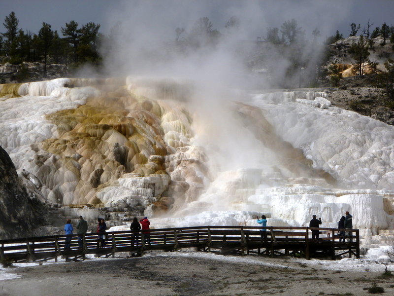 Mammoth Hot Springs.