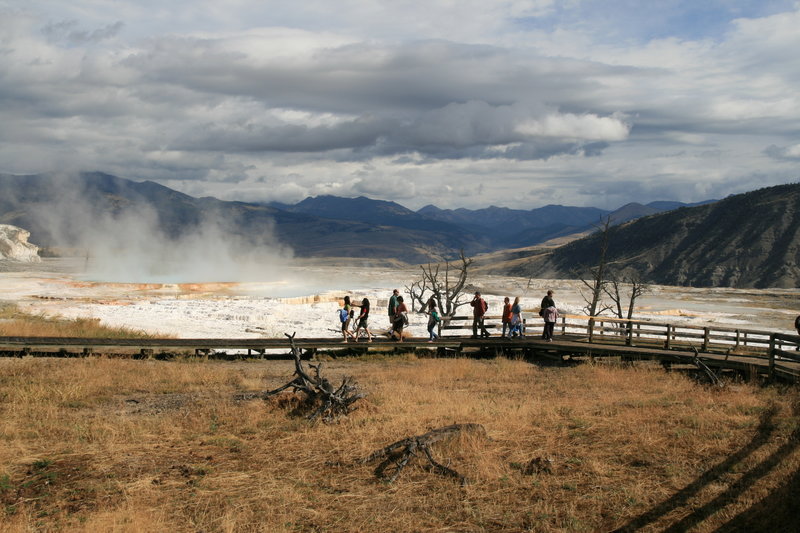 Visitors on boardwalks.