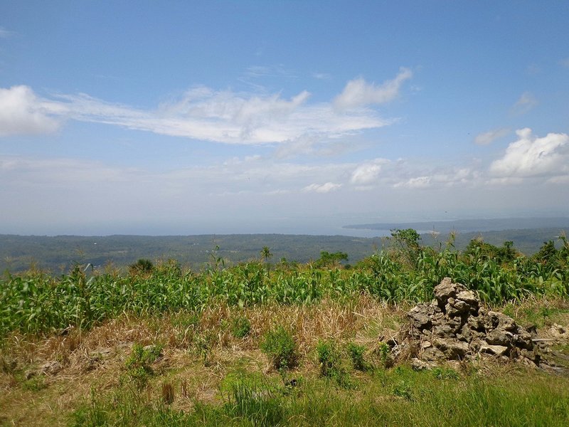 At the summit of Mt. Puting Bato peak of Samal Island, TP50 race!