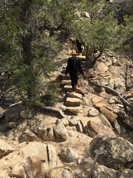 Shortly after passing the Petroglyphs, you'll climb these steps to get to the top of the Mesa.