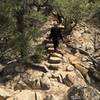 Shortly after passing the Petroglyphs, you'll climb these steps to get to the top of the Mesa.