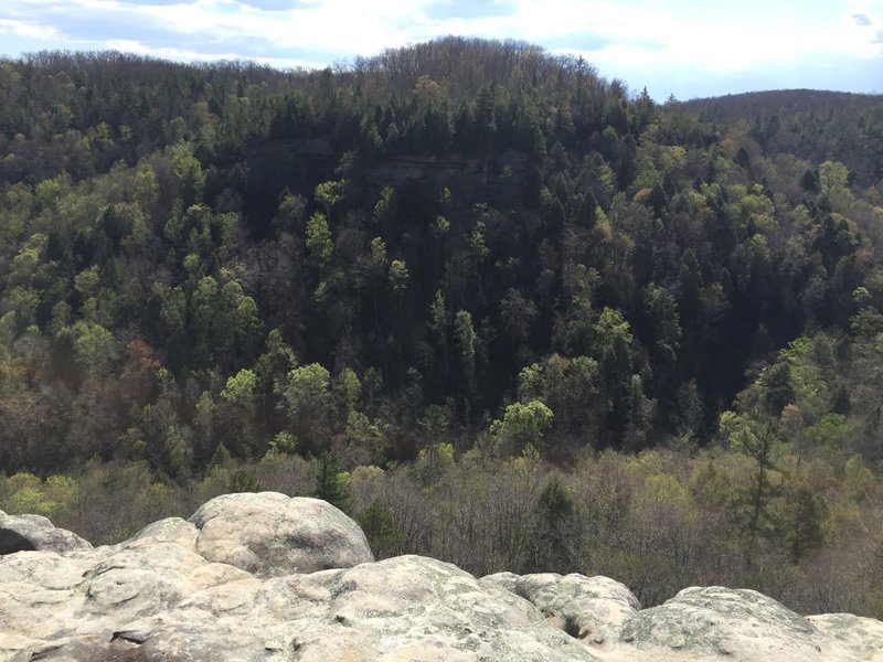 Big South Fork Recreational Area from the Fall Branch Overlook.