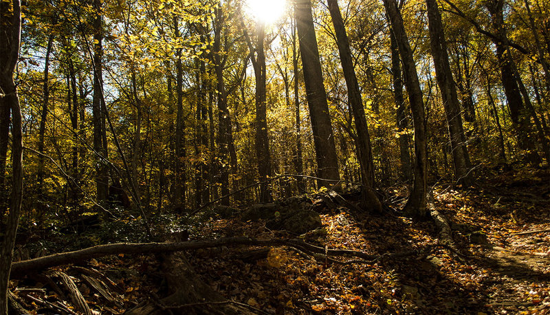 Pass Mountain Trail.