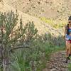 Climbing up the Umtanum Vista Trail during the 2016 Yakima Skyline 25k