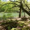 Spring green everywhere in this enchanted little spot: great for a peaceful pause along the way...