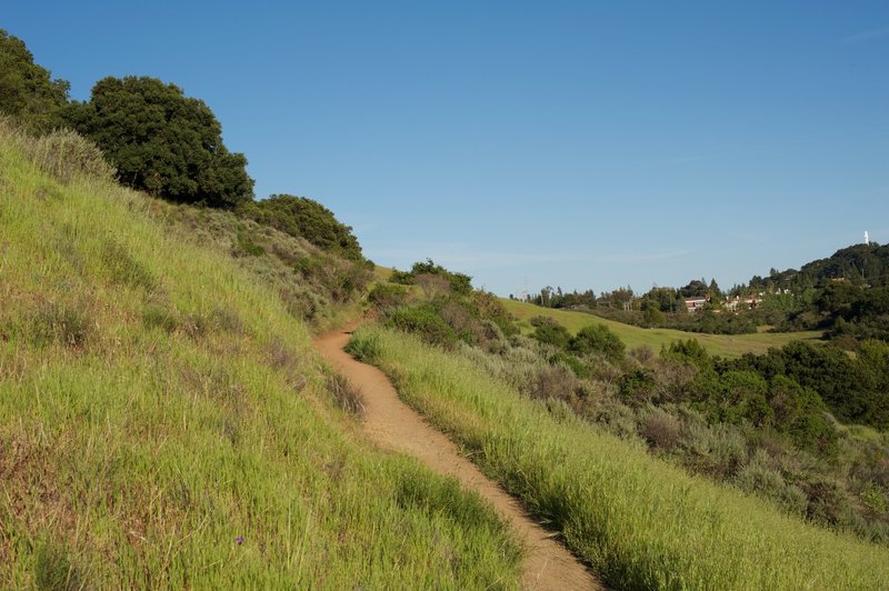 The trail continues to climb the hillside.