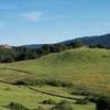 The Sunset Trail winds through the preserve as fields of wildflowers can be seen on either side.  The gentle climb on the Ridgeview Trail offers great views.