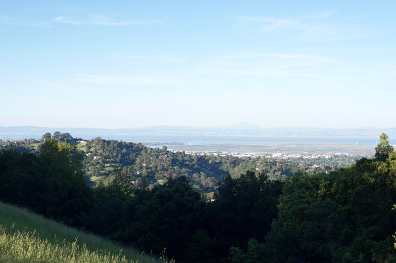 Views of the San Francisco Bay can be seen from the saddle where the Live Oak Trail meets up with the Ridgeview Trail.