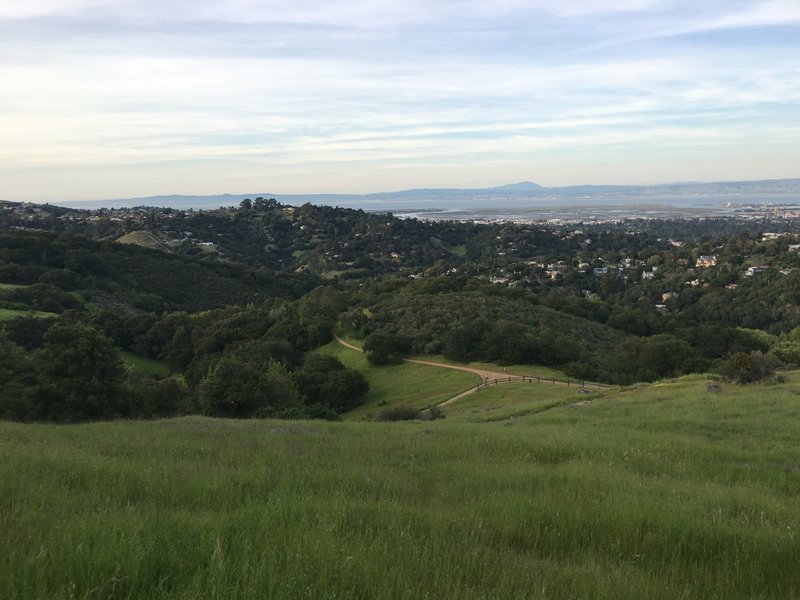 The Serpentine Trail and Sylvan Trail as seen from the Live Oak Trail.