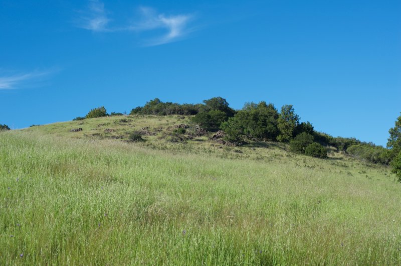 On the lefthand side of the trail, a rock field emerges from the grasslands above the trail.