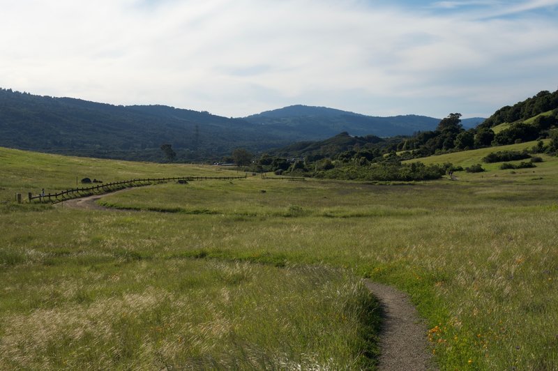 Looking back at the Sunset Trail as it makes its way toward the west and Interstate 280.