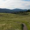 Looking back at the Sunset Trail as it makes its way toward the west and Interstate 280.