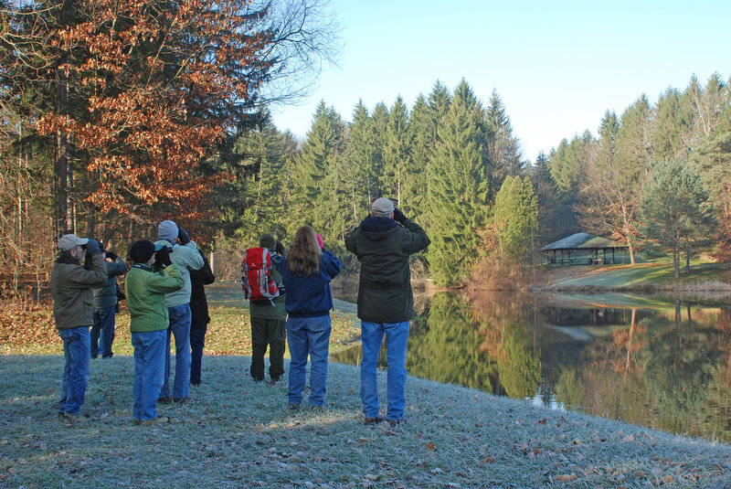 Bird watching at Horseshoe Pond. Photo by NPS/DJ Reiser