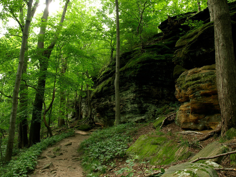 Ledges Trail at its most lush. Photo by Sue Simenc.