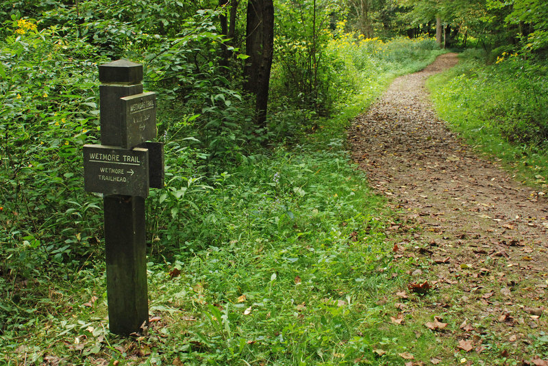 Wetmore connects to several other trails, making it an ideal starting point for a longer hike. Photo by NPS/DJ Reiser