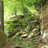 Cuyahoga Valley: Ledges Trails