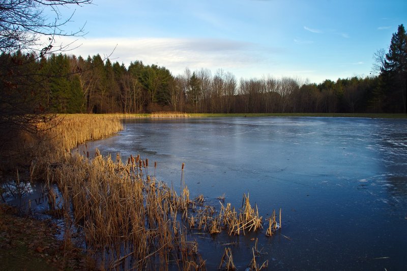 Horseshoe Pond with permission from Rumiana Koynova-Tenchova