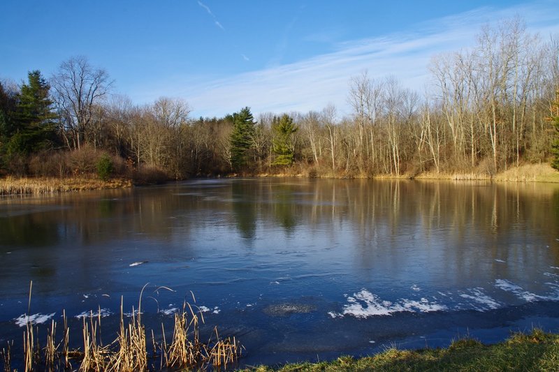 Horseshoe Pond on a crisp day. with permission from Rumiana Koynova-Tenchova