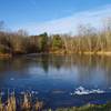 Horseshoe Pond on a crisp day. with permission from Rumiana Koynova-Tenchova