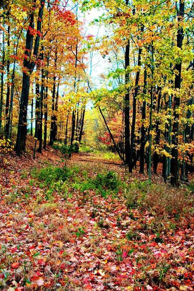 Fall is here on the Bike and Hike Trail!