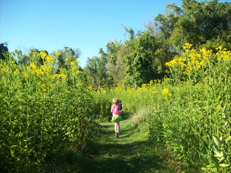 You'll hike through a small field before entering the woods on this diverse trail. Photo by Julie Grassley.