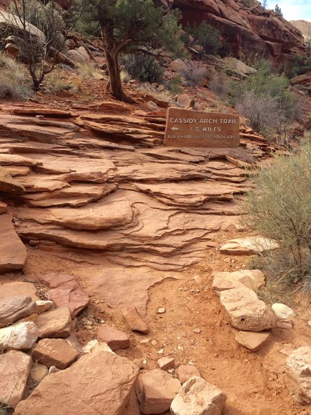 The trailhead after walking down the wash from the parking area a few hundred yards on your left.