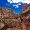 Shortly after the switchbacks - a peak at how the trail looks.