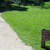 The Sylvan Trail starts just up this trail in the picnic area.