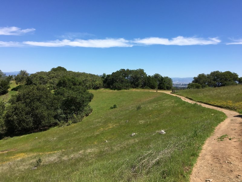 The Serpentine Trail as it runs along the ridge. You can see the wildflowers blooming in the evening.  Deer feed in the fields in the evening.