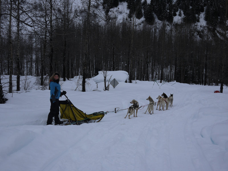 Exit Glacier in the winter.