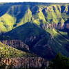 The lovely and verdant Powell Plateau as viewed from Timp Point