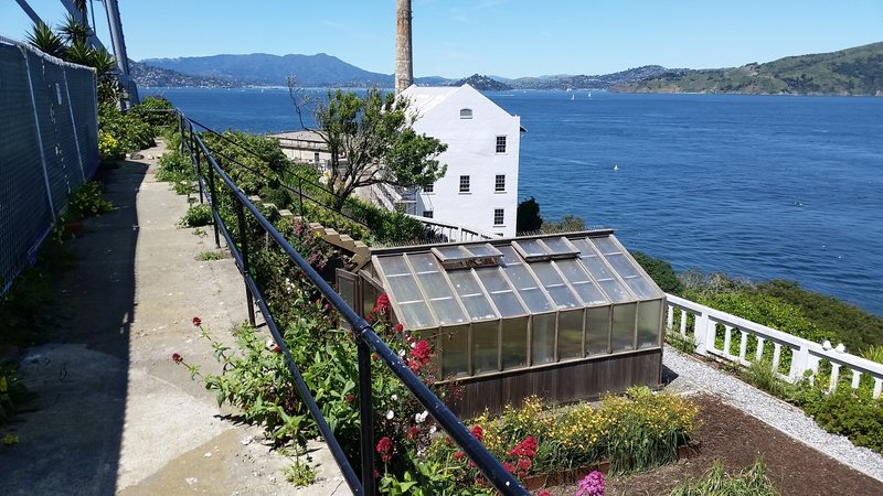 A seaside garden.