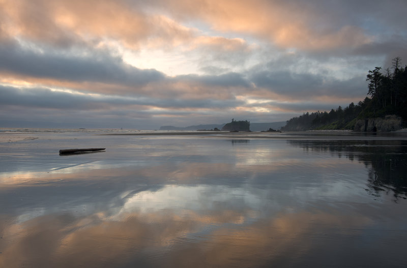 Ruby Beach at low tide.