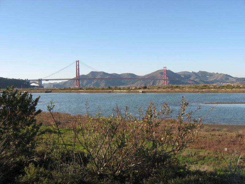 Chrissy Field view.