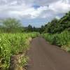 This is long road, paved asphalt for a few miles. Can be very hot.