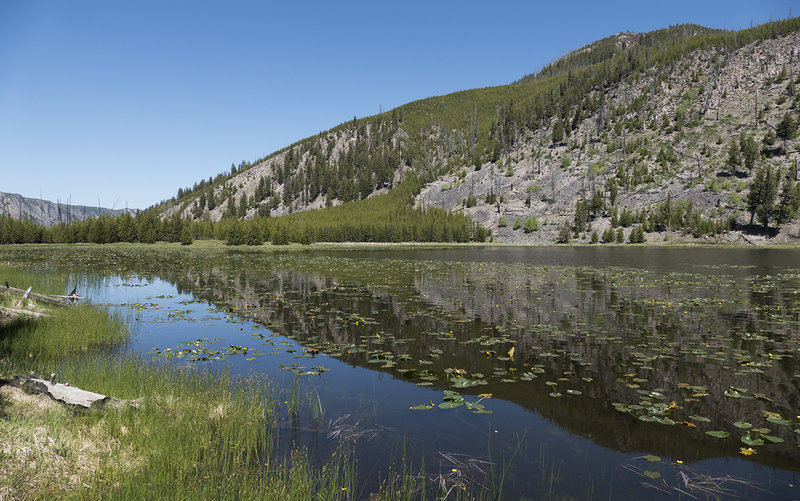 Harlequin Lake from the shoreline