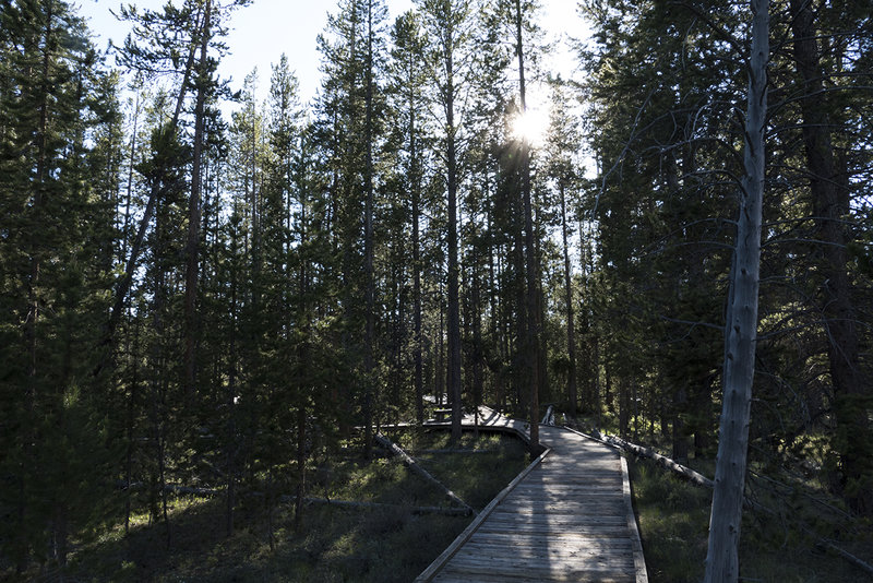 Two Ribbons Trail entering the trees on west side of loop.