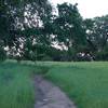 The trail makes its way through a meadow.