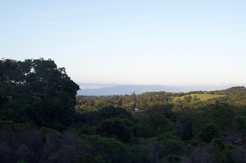 Limited views of the San Francisco Bay come into view as the trail climbs.