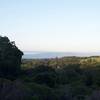 Limited views of the San Francisco Bay come into view as the trail climbs.