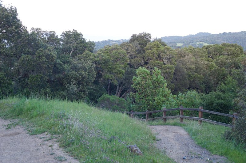 The trail ends at the junction with the Spring Ridge Trail.