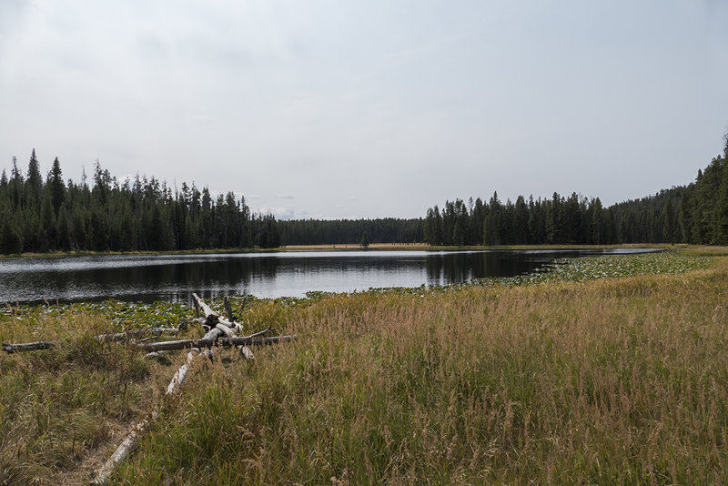 View of Ribbon Lake from the shore.