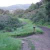 The Betsy Crowder trail drops off to the left coming down the Spring Ridge Trail.