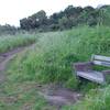 A bench sits beside the trail allowing you to enjoy the views.