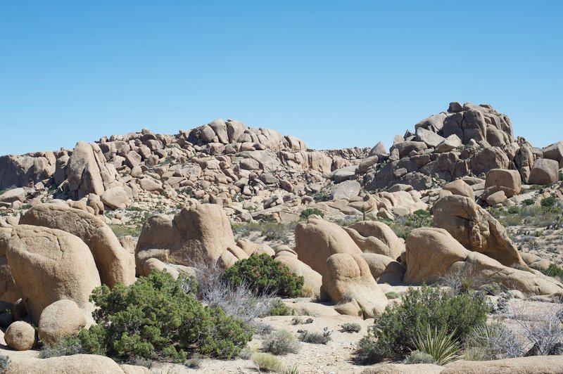 Rock fields spread out before you.