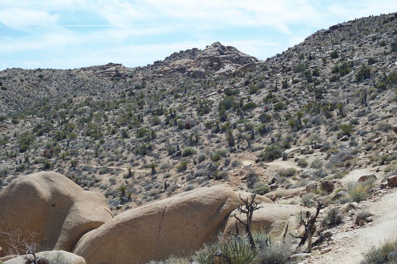 The trail makes its way through the landscape.  There is a lack of shade, so make sure you bring plenty of water and sunscreen.