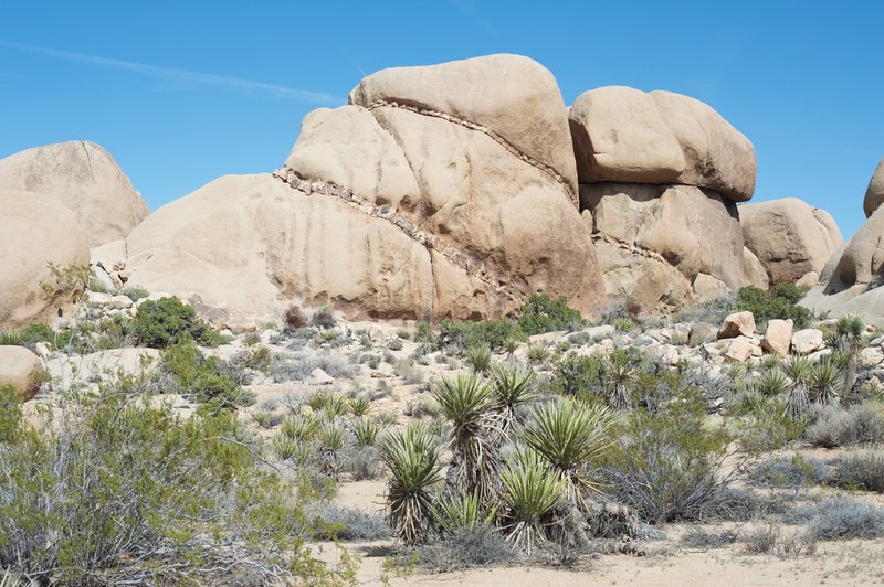 Interesting rock formations in the area.  The smaller rocks look like veins in the rocks.